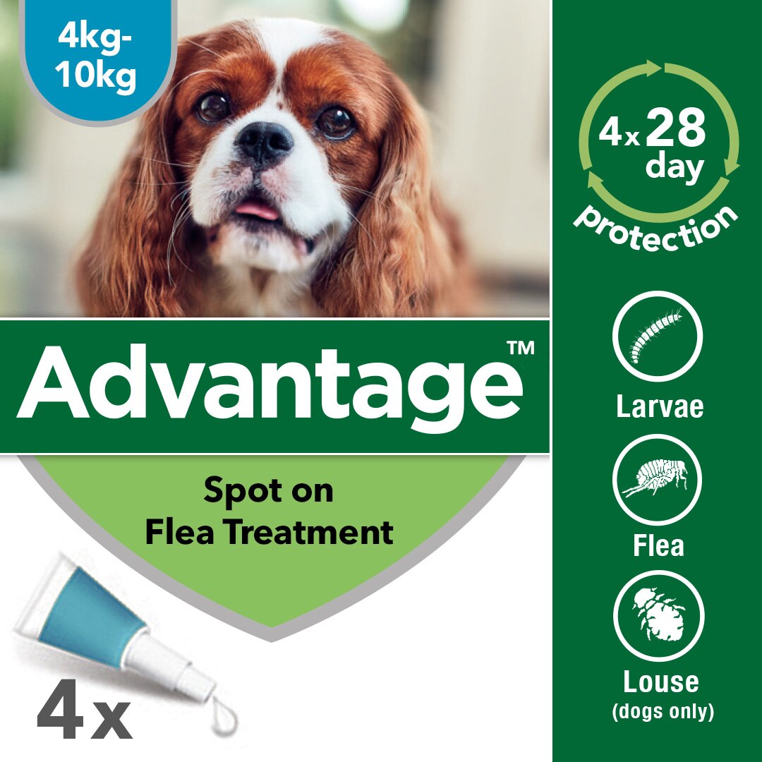 Advantage 100 Spot On Flea Control Medium Dog (4-10kg) - 4Pack